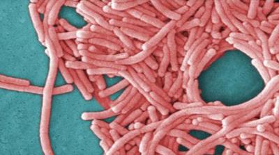 Two Guests Contract Legionnaires's Disease at Rio Las Vegas