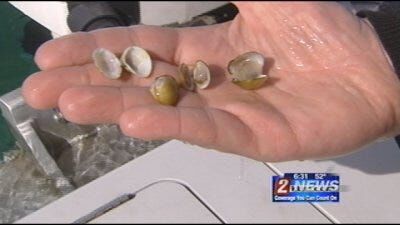 Quagga Mussel DNA Found at South Fork State Recreation Area