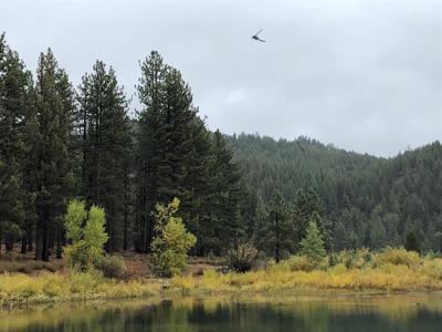 NDF Uses Helicopter to Remove Thousands of Trees