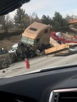 To Swerve or Not to Swerve for Animals