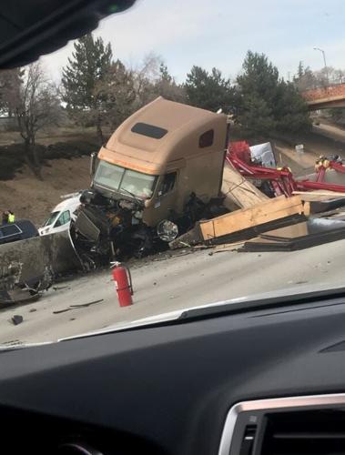 To Swerve or Not to Swerve for Animals