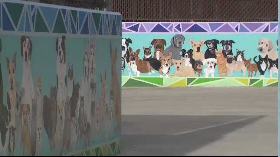 Final Spots for Biggest Little Dog Park Pet Mural Available