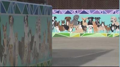 Final Spots for Biggest Little Dog Park Pet Mural Available