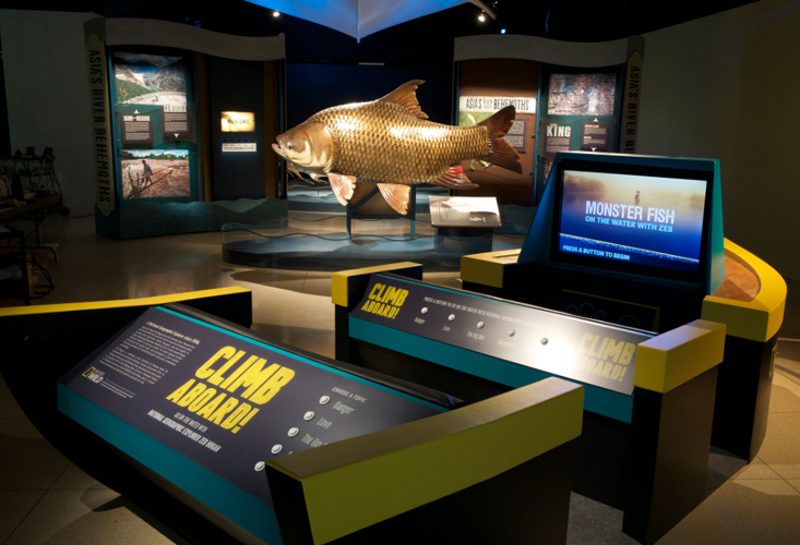 fish Discovery 2.PNG