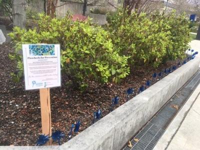 Hundreds of Pinwheels Planted for National Child Abuse Prevention Month