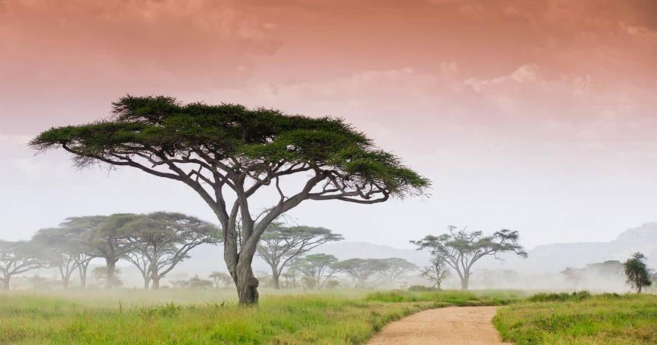 Serengeti National Park