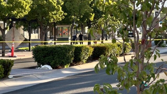 Victorian Avenue fatal crash