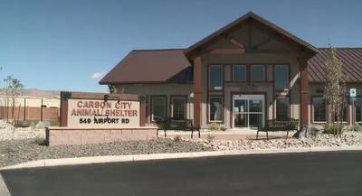 New Animal Shelter to Open in Carson City This Weekend