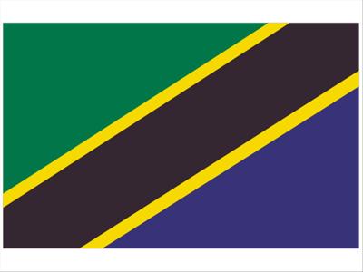 Dozens Dead After Ferry Sinks On Lake Victoria