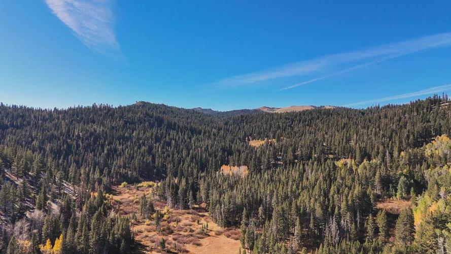 Spooner Lake State Park (Landscape)