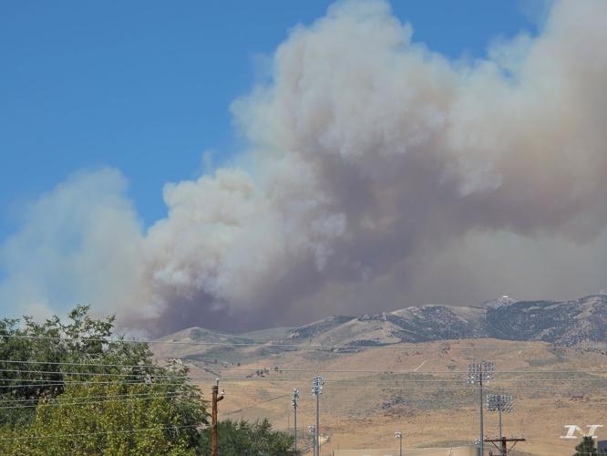 hawk fire 2.jpg