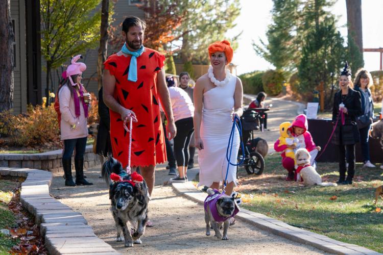 Howl-O-Ween Pet Costume Contest at Hyatt Regency Lake Tahoe 2 (002).jpg