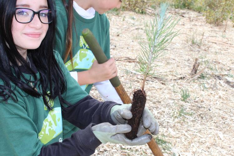 EVMS Students help Restore Davis Burn Area 5