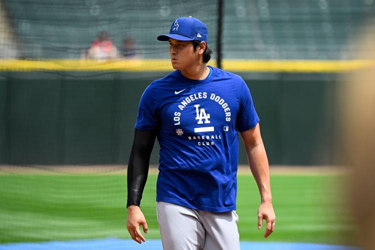 Dodgers White Sox Baseball
