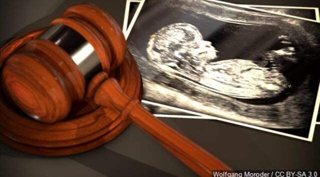 Abortion Legislature