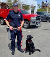 Boston Arson Dog Helps Sniff Out Arson Fires