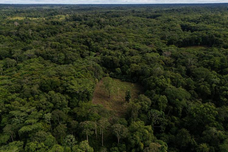 Climate Colombia Aerial Spraying