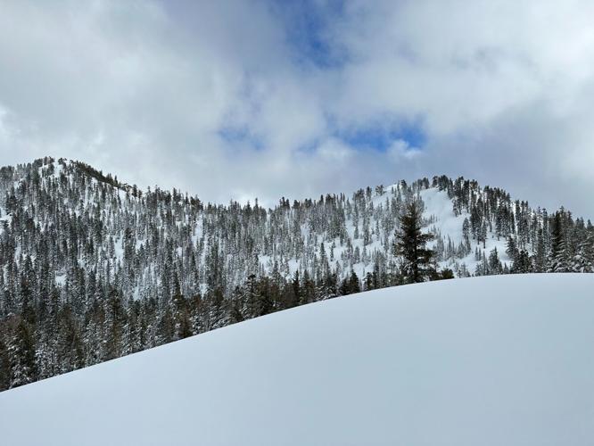 Sierra Avalanche Center Pic 3.jpeg