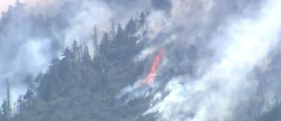 Vehicle Malfunction Sparked Southern California Wildfire