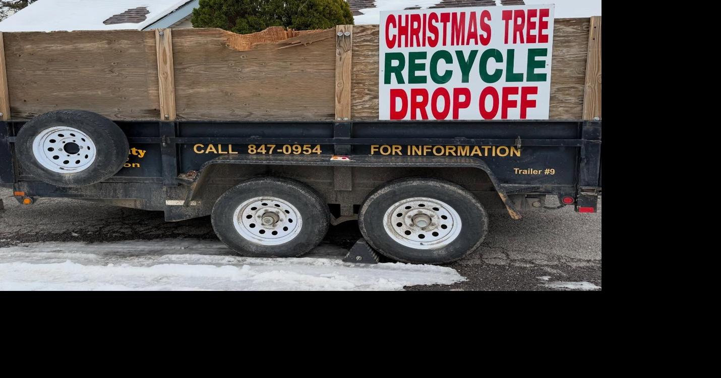 Christmas Tree recycling locations in Storey County | Local News ...