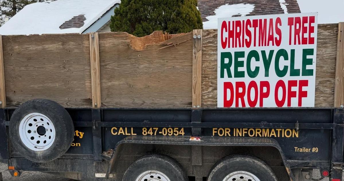 Christmas Tree recycling locations in Storey County | Local News ...