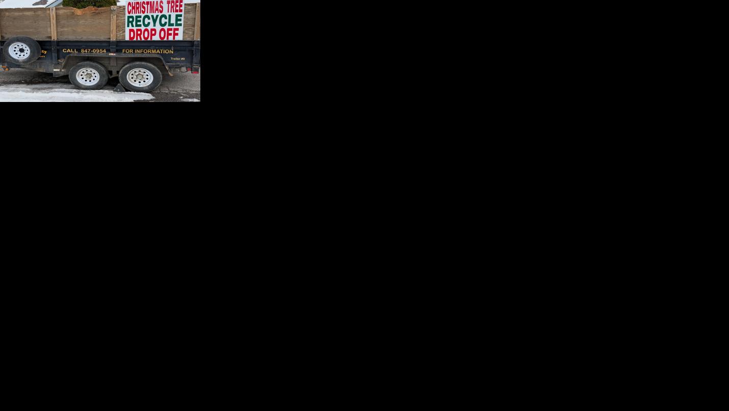 christmastreerecyclingstoreycounty.jpg