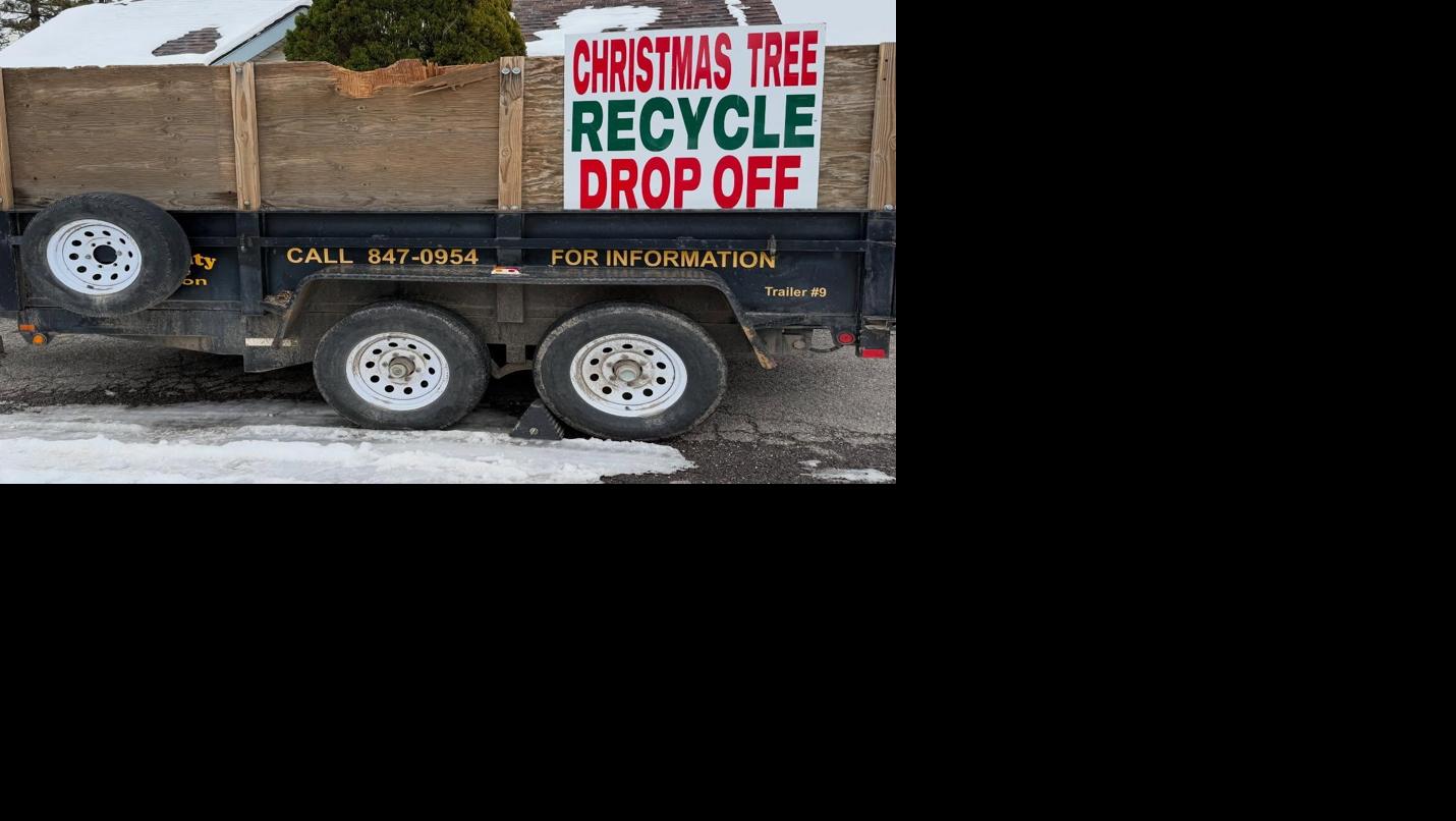 christmastreerecyclingstoreycounty.jpg