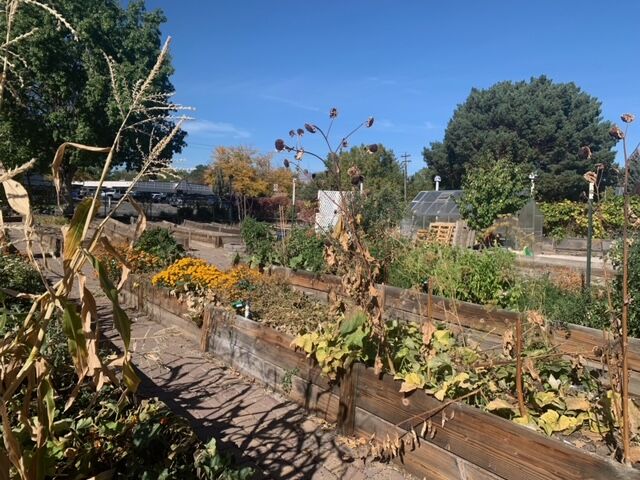 Pine Middle School Garden