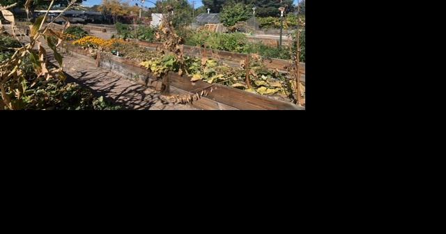 Garden Donations Needed for Pine Middle School - Vimarsana News