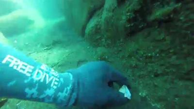 Cleaning Bonsai Rock