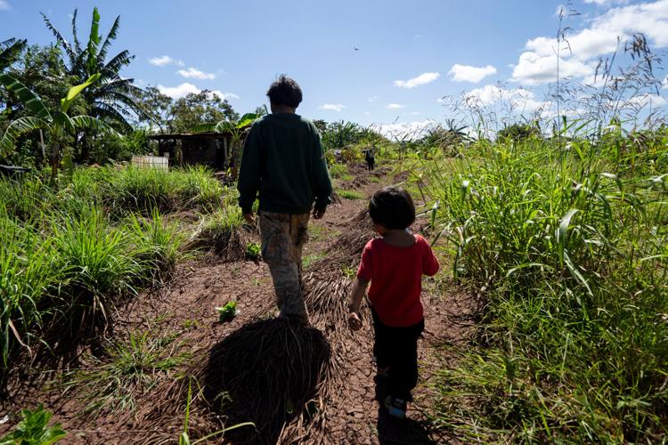 Hawaii Flooding Small Farms