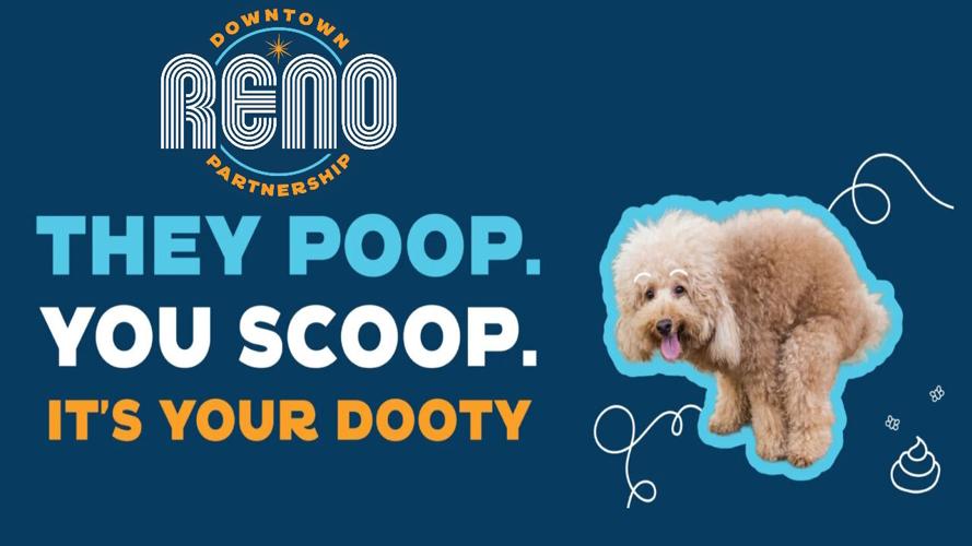 Downtown Reno Partnership dog poop 1 .jpg