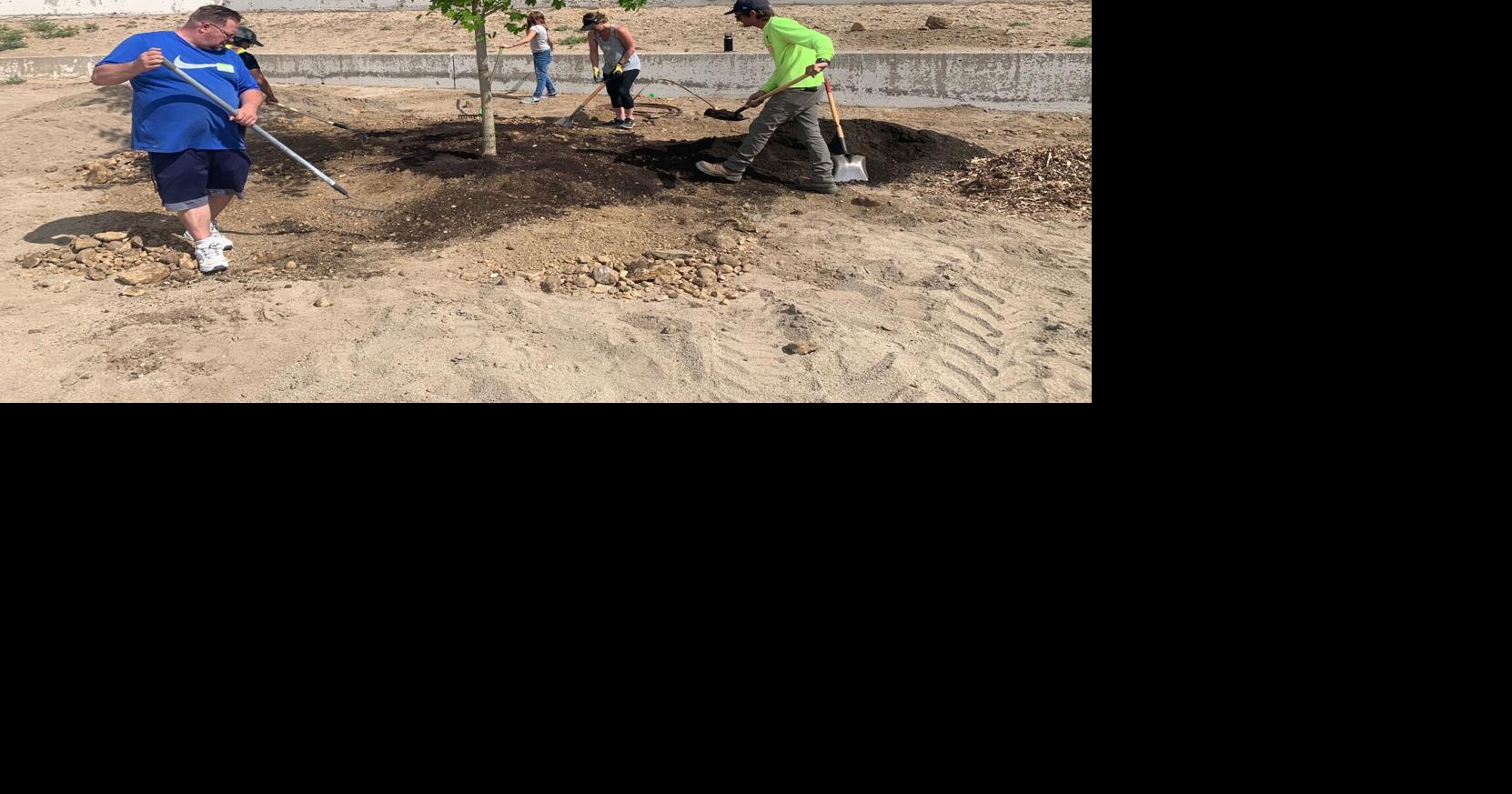 Community Unites to Purchase, Plant Trees at Mamie Towles Elementary