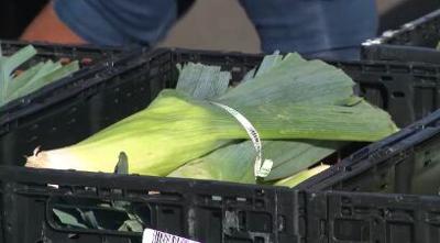 Food Bank Seeks Donations; RTC Holds Stuff a Bus Event