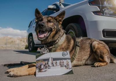 Washoe County Deputies Mourn Death of Retired K9 Kilo