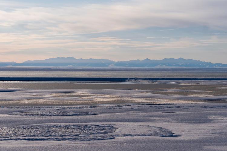 Climate Arctic Jungle