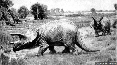 Dinosaur Tracks Make Fresh Impression At Valley Forge Park