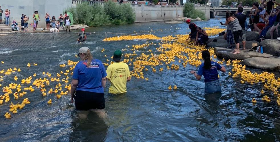 Rubber duck race