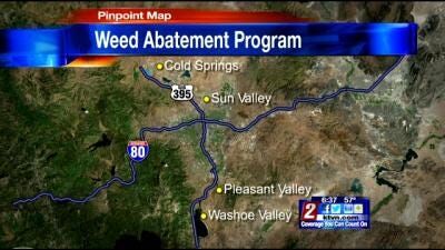 Washoe County Begins Weed Control Program