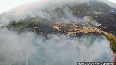 Fund Backed by Leonardo DiCaprio Pledges $5M to Amazon Amid Fires
