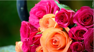 roses mgn.PNG