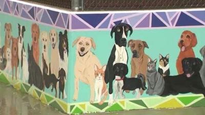More Spots Available for Pet Portraits at Biggest Little Dog Park