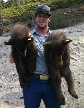 NDOW Captures Three Bear Cubs, Releases Them Near Stateline