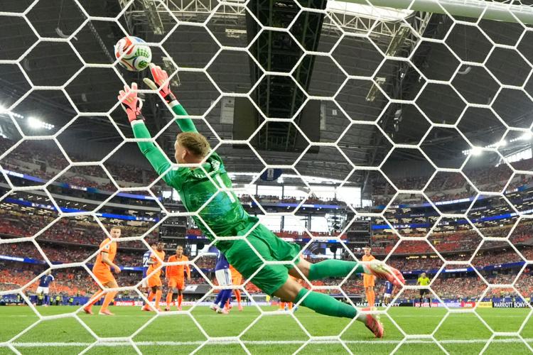 APTOPIX Japan Netherlands WCup Soccer
