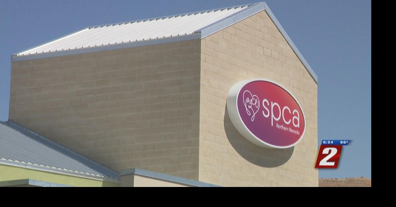 Reno Iron Works And SPCA of Northern Nevada Building Crisis News