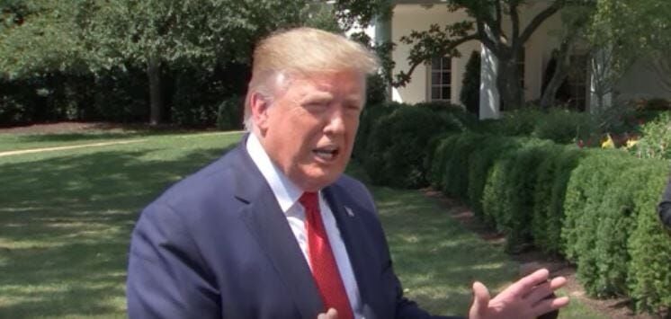 President Trump Revives Suggestion He'd End Birthright Citizenship