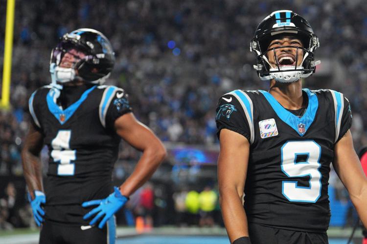 Lions Panthers Football