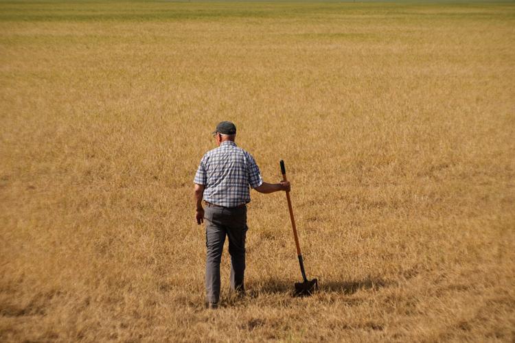 APTOPIX Climate Drought Wheat Farmers