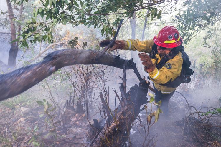Western Wildfires