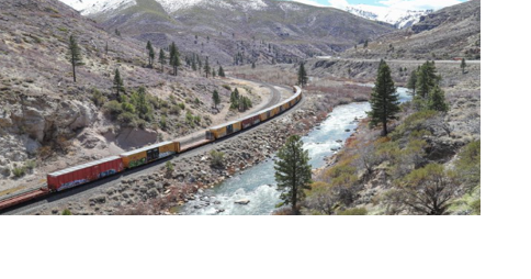 Four rescued from Truckee River near Ambrose Park - Vimarsana News